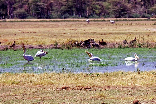 Kenia (182)